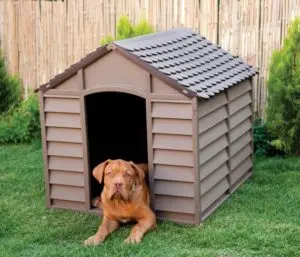 casas para perros 