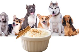 comida para perros
