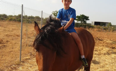 Cuidados veterinarios Cedevet Veterinaria SLL