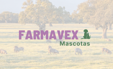 Cuidados veterinarios Farmavex Animal