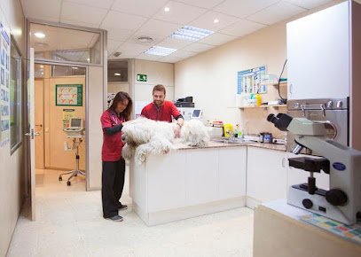 Cuidados veterinarios Nouclinic Veterinaris