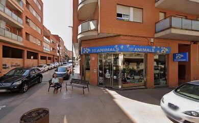 Cuidados veterinarios Veterinarios Alt Urgell