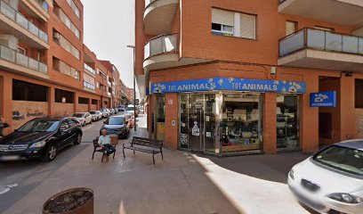 Cuidados veterinarios Veterinarios Alt Urgell