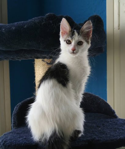 Hospital veterinario Agaba Centro Veterinario