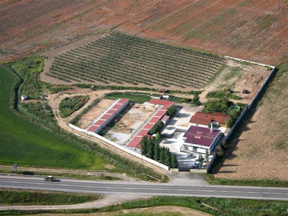 AniCura La Corraliza Hospital Veterinario 1 Hospital veterinario AniCura La Corraliza Hospital Veterinario