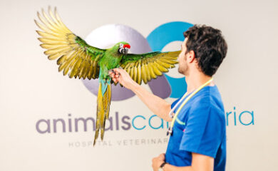 Hospital veterinario Animals Cantabria-Hospital Veterinario 24 Horas