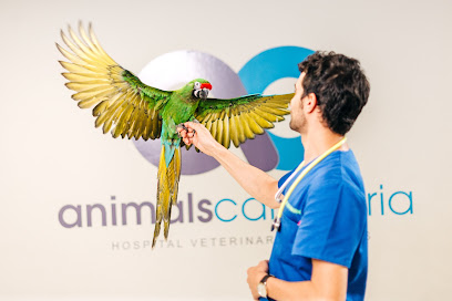 Animals Cantabria-Hospital Veterinario 24 Horas 1 Hospital veterinario Animals Cantabria-Hospital Veterinario 24 Horas