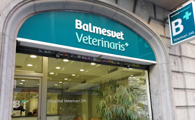Veterinarios en Barcelona 1 Hospital veterinario Balmesvet Veterinaris Hospital 24 H.