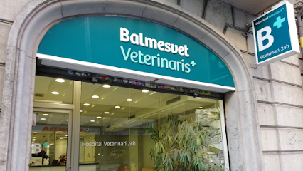 Balmesvet Veterinaris Hospital 24 H. 1 Hospital veterinario Balmesvet Veterinaris Hospital 24 H.