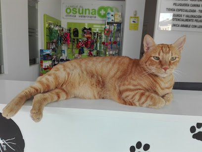 Hospital veterinario CLÍNICA VETERINARIA "CIUDAD DE OSUNA"