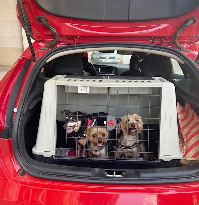 Hospital veterinario Can Racó Clíniques Veterinàries, urgències 24/7