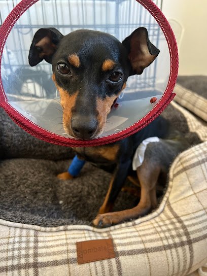 Hospital veterinario Centro Clínico Veterinario de Zaragoza