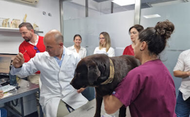 Veterinarios en Valencina de la Concepción 1 Hospital veterinario Centro Veterinario Aljarafe Norte