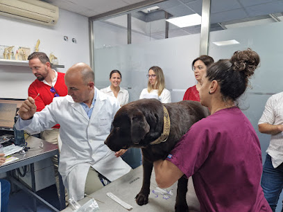 Centro Veterinario Aljarafe Norte 1 Hospital veterinario Centro Veterinario Aljarafe Norte
