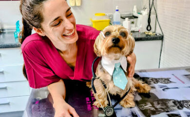 Hospital veterinario Centro Veterinario El Pinillo
