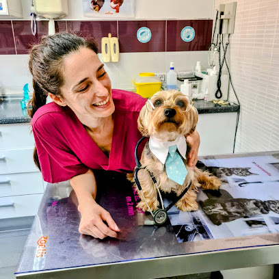 Centro Veterinario El Pinillo 1 Hospital veterinario Centro Veterinario El Pinillo