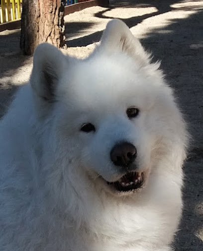 Hospital veterinario Centro Veterinario la Serna