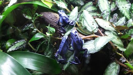 Hospital veterinario Clínica Veterinaria Asturcón