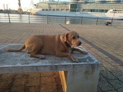 Hospital veterinario Clínica Veterinaría Campos Eliseos