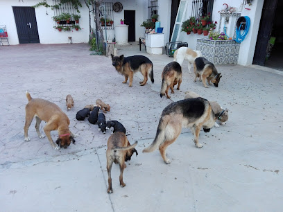 Clínica Veterinaria Can 1 Hospital veterinario Clínica Veterinaria Can