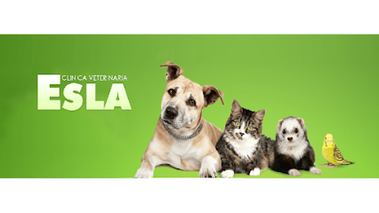 Hospital veterinario Clinica Veterinaria Esla