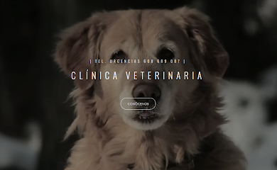 Hospital veterinario Clínica Veterinaria San Froilan
