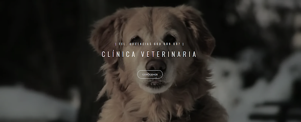 Hospital veterinario Clínica Veterinaria San Froilan