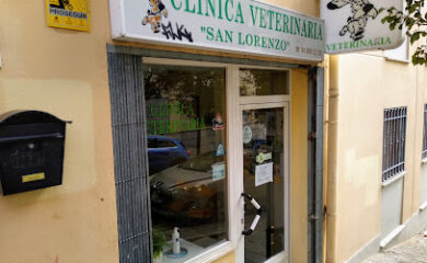 Hospital veterinario Clínica Veterinaria San Lorenzo