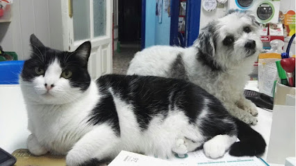Hospital veterinario Clínica Veterinaria Selva