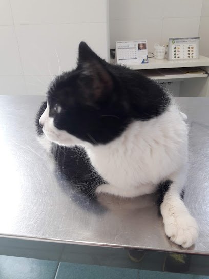 Hospital veterinario Clínica Veterinaria Vinarós