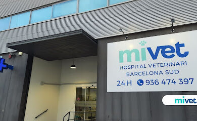 Hospital veterinario Hospital Veterinari Barcelona Sud | MiVet