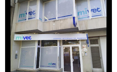 Hospital veterinario Hospital Veterinari Maresme | MiVet