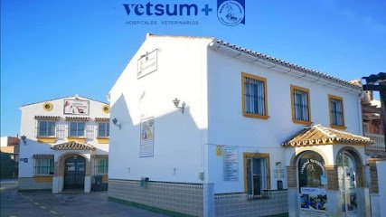 Hospital veterinario Hospital Veterinario Alhaurín El Grande | Urgencias 24 horas
