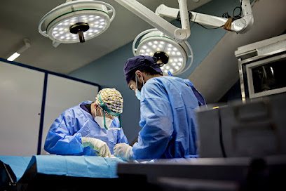 Hospital Veterinario Desvern 1 Hospital veterinario Hospital Veterinario Desvern
