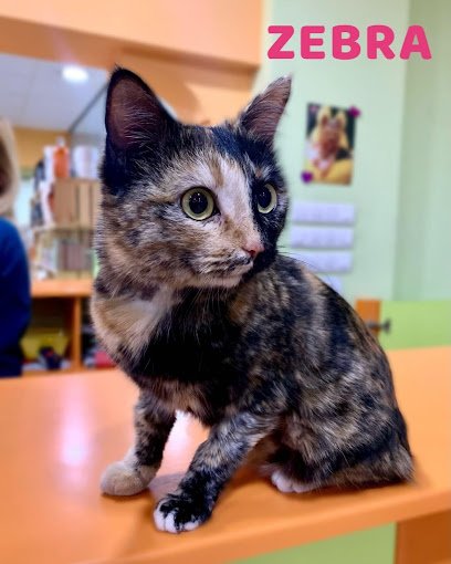 Hospital veterinario Hospital Veterinario La Rueda