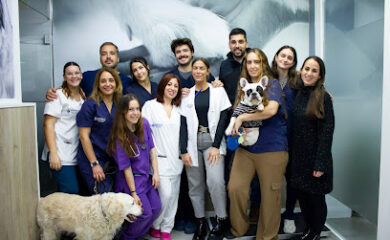 Hospital veterinario Hospital Veterinario Urvemace