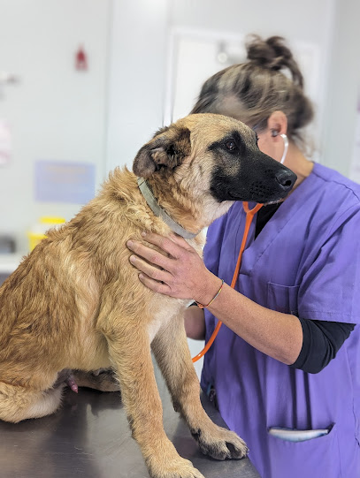 Hospital Veterinario Veterinarea Villalba 1 Hospital veterinario Hospital Veterinario Veterinarea Villalba