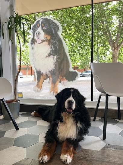 Hospital veterinario KironVet