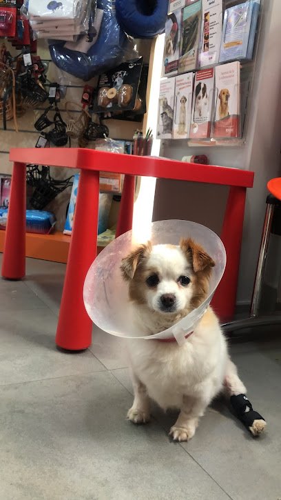 Hospital veterinario Medivet 24 Horas La Flota