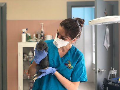 Hospital veterinario Medivet 24 Horas Los Sauces Chamberi