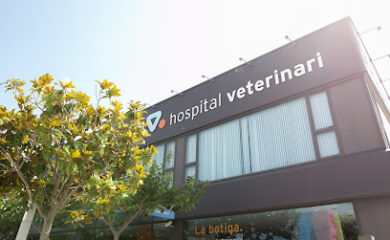 Hospital veterinario Medivet 24 Horas Santa Susanna