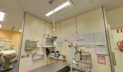Medivet 24 Horas Vic 1 Hospital veterinario Medivet 24 Horas Vic