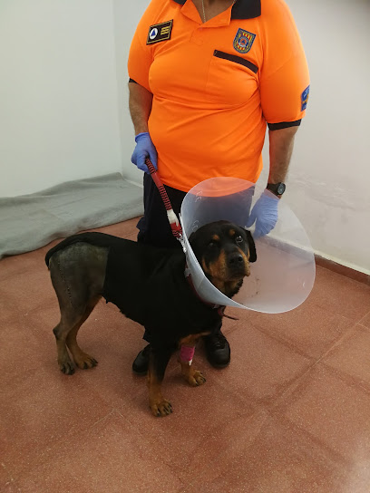 Hospital veterinario MiVet Hospital Veterinario Mallorca Veterinaris