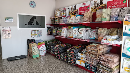 Zooval Centro Veterinario en Valverde - Juan Aurelio 1 Hospital veterinario Zooval Centro Veterinario en Valverde - Juan Aurelio