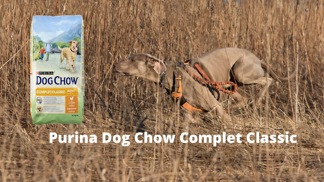 Purina Dog Chow Complet Classic