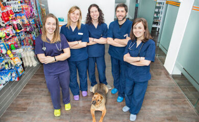 Veterinarios en San Javier 3 Servicio de urgencias veterinarias CLINICA VETERINARIA NATURA-SAN JAVIER
