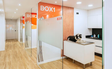 Veterinarios en Lloret de Mar 1 Servicio de urgencias veterinarias Centre Veterinari Canvet. Urgències 24h