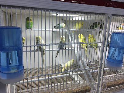 Amics Animals 1 Tienda de animales Amics Animals