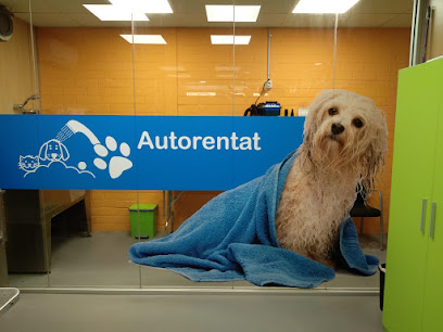 Calvet animals i plantes 1 Tienda de animales Calvet animals i plantes
