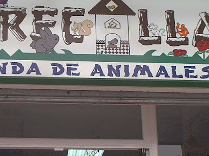 FIERECILLAS 1 Tienda de animales FIERECILLAS
